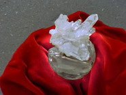 Methuselah’s Gift