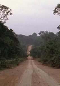 Travelling Amazonia
