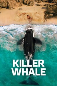 Killer Whale
